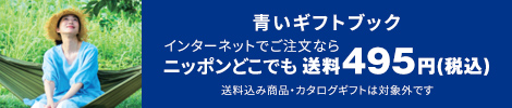 青いギフトブック
