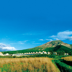 おすすめポイント