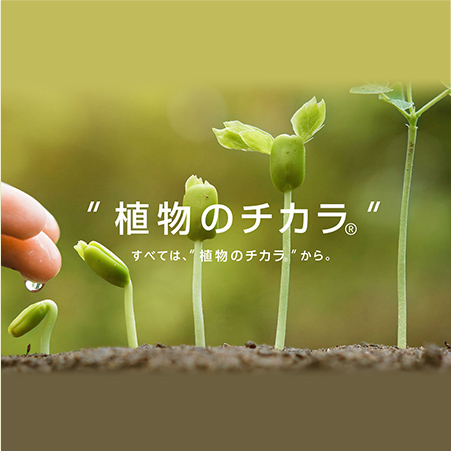ブランドヒストリー
