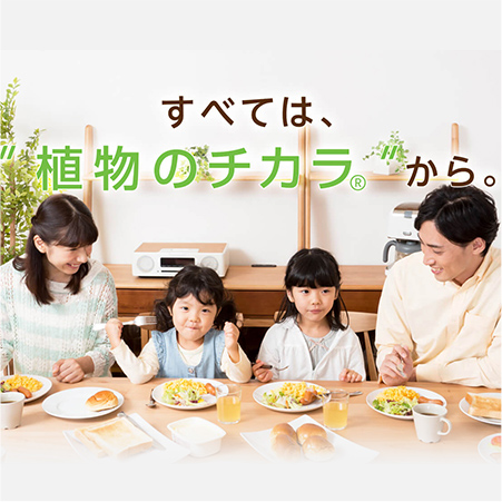 ブランドヒストリー