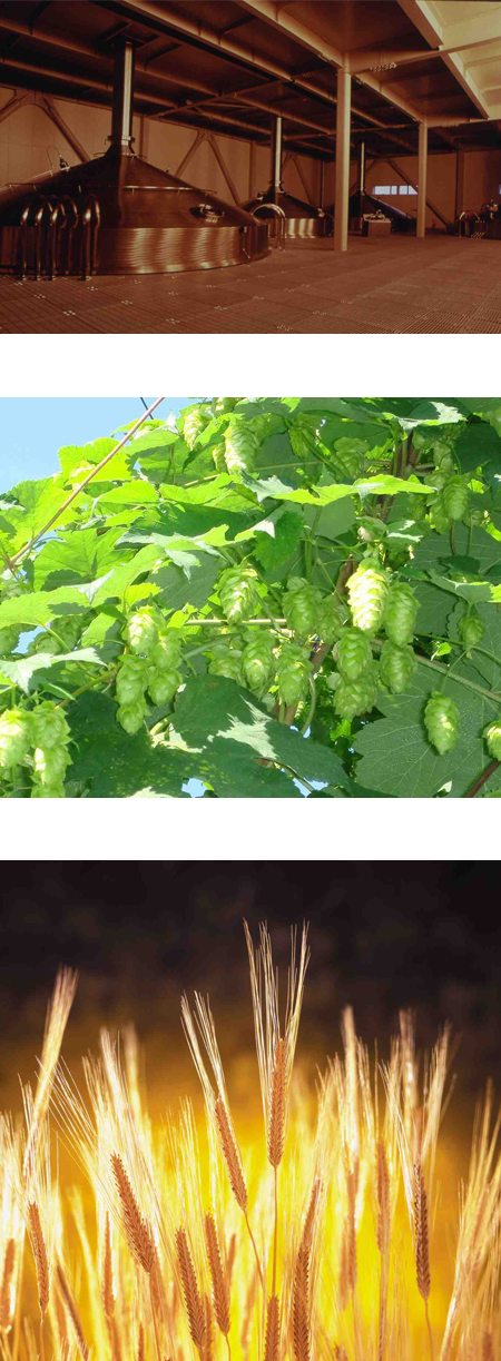 商品に対するこだわり