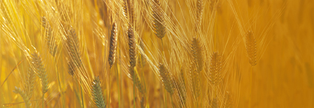 商品に対するこだわり