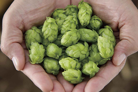 商品に対するこだわり