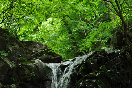 おすすめポイント