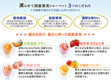 おすすめポイント
