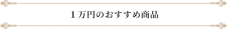１万円のおすすめ商品
