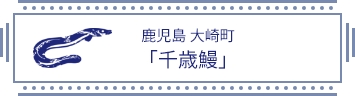 鹿児島 大崎町 「千歳鰻」