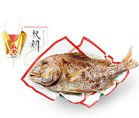〔魚道楽〕祝鯛