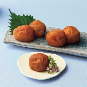 〔和歌山ノーキョー食品〕