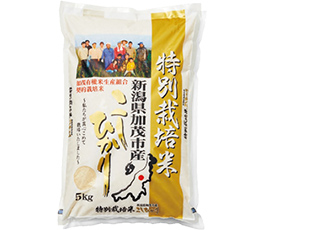 新潟県加茂市産 石附（いしづき）さん家のこしひかり（特別栽培米）