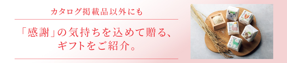 カタログ掲載外商品