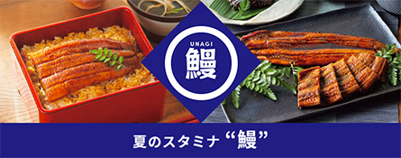 夏のスタミナ鰻