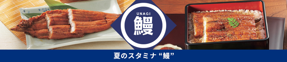 夏のスタミナ鰻