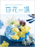 くぬぎ