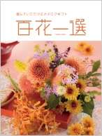 あすなろ