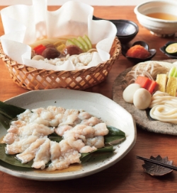 夏のおすすめ