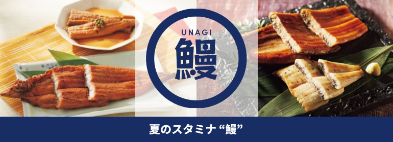 夏のスタミナ鰻
