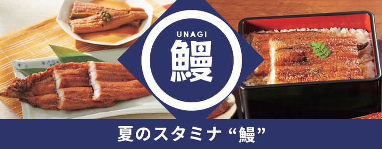 夏のスタミナ“鰻”