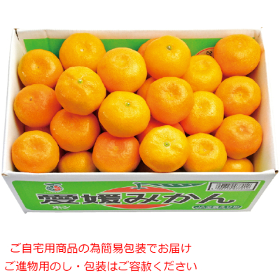 愛媛県 温州みかん