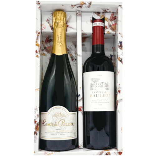 スパークリング&赤ワインセット(BY5137944)｜阪神からのお歳暮｜阪神