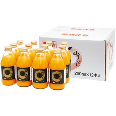山川みかんストレートジュース12本セット