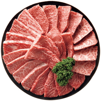 松阪牛 焼肉用牛肉食べつくしセット 480g