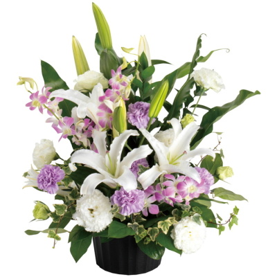 生花アレンジメント 涼花(CB6174670)｜阪急からのお中元｜阪急百貨店