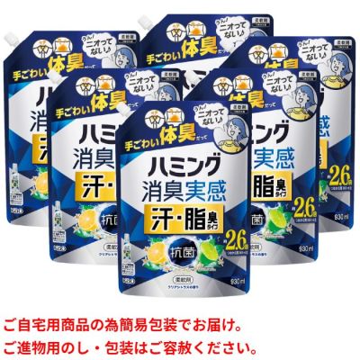 ハミング消臭実感 汗･脂臭タイプ クリアシトラス詰替え用
