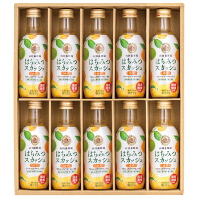 国産はちみつスカッシュ