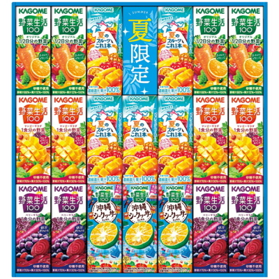 すこやかサマーバラエティギフト