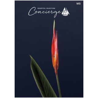 カタログギフト ハートフルセレクション コンシェルジュ MSコース(冊子タイプ)