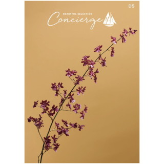 カタログギフト ハートフルセレクション コンシェルジュ DSコース(冊子タイプ)