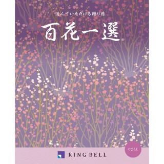 カタログギフト 百花一選/弔事用　やまもも