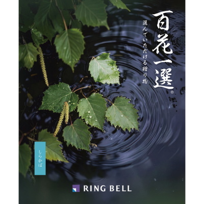 カタログギフト 百花一選/弔事用 しらかば