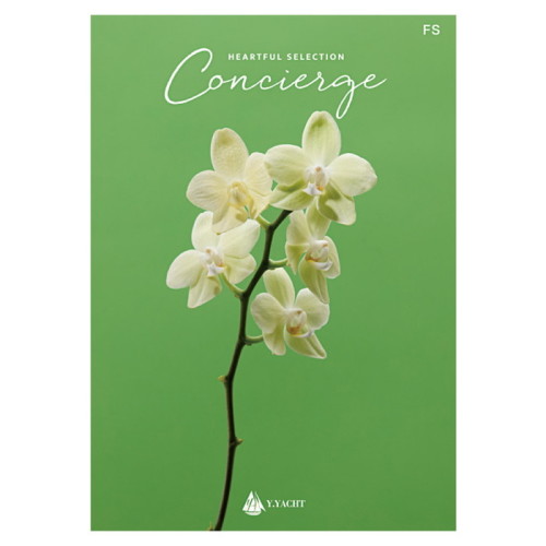 cortis コルティス マーティン サノク トレカ cortis コルティス