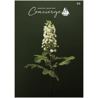 カタログギフト ハートフルセレクション コンシェルジュ KSコース(冊子タイプ)