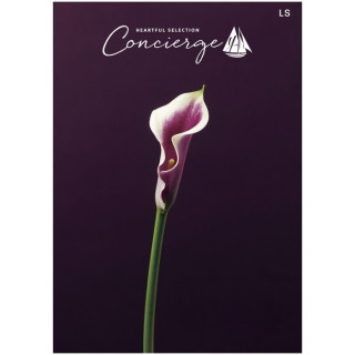 カタログギフト ハートフルセレクション コンシェルジュ LSコース(冊子タイプ)