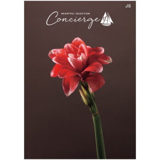 カタログギフト ハートフルセレクション コンシェルジュ JSコース(冊子タイプ)
