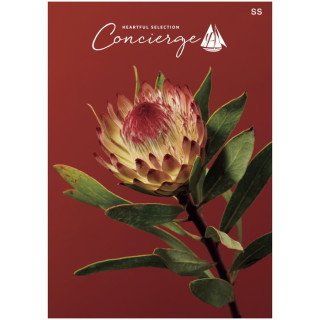 カタログギフト ハートフルセレクション コンシェルジュ SSコース(冊子タイプ)