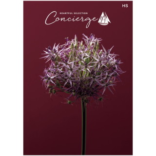 カタログギフト ハートフルセレクション コンシェルジュ HSコース(冊子タイプ)