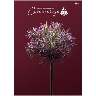 カタログギフト ハートフルセレクション コンシェルジュ HSコース(冊子タイプ)