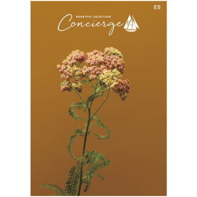 カタログギフト ハートフルセレクション コンシェルジュ ESコース(冊子タイプ)