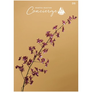 カタログギフト ハートフルセレクション コンシェルジュ DSコース(冊子タイプ)