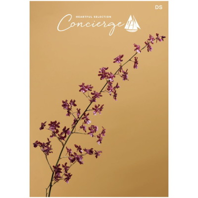 カタログギフト ハートフルセレクション コンシェルジュ DSコース(冊子タイプ)