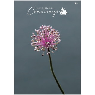 カタログギフト ハートフルセレクション コンシェルジュ BSコース(冊子タイプ)