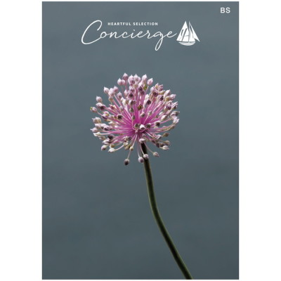 カタログギフト ハートフルセレクション コンシェルジュ BSコース(冊子タイプ)