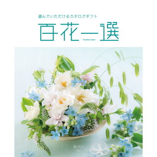 カタログギフト 百花一選 あけび
