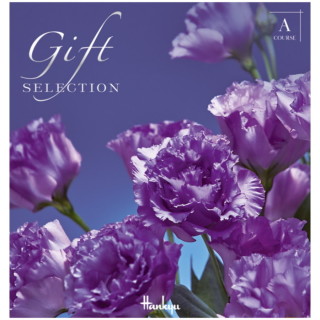 ギフトセレクション Aコース(冊子タイプ)