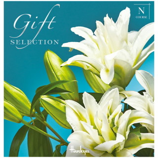 ギフトセレクション Nコース(冊子タイプ)
