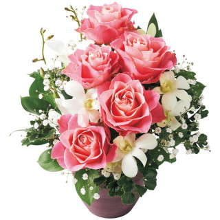 生花アレンジメント｢フラン｣